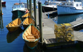 Meat Seafood and Poultry